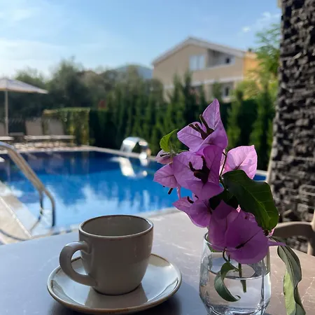 Viola Hotel
