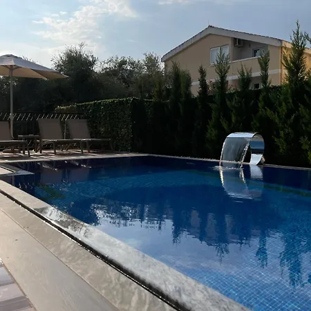 Viola 4*