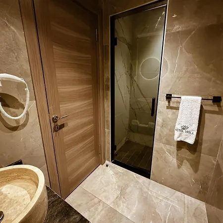 Hotel Viola